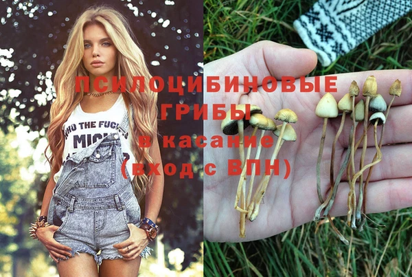 индика Горнозаводск