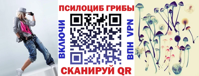 Псилоцибиновые грибы Psilocybe  Муром 