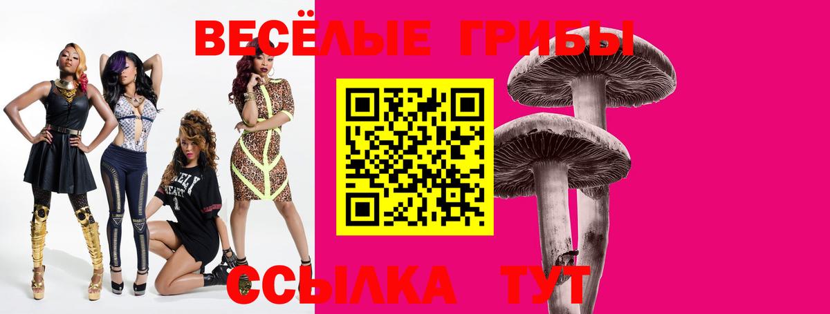 Псилоцибиновые грибы прущие грибы Муром