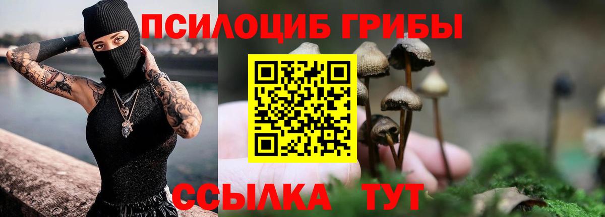 Галлюциногенные грибы ЛСД  Галлюциногенные грибы мицелий  Муром 