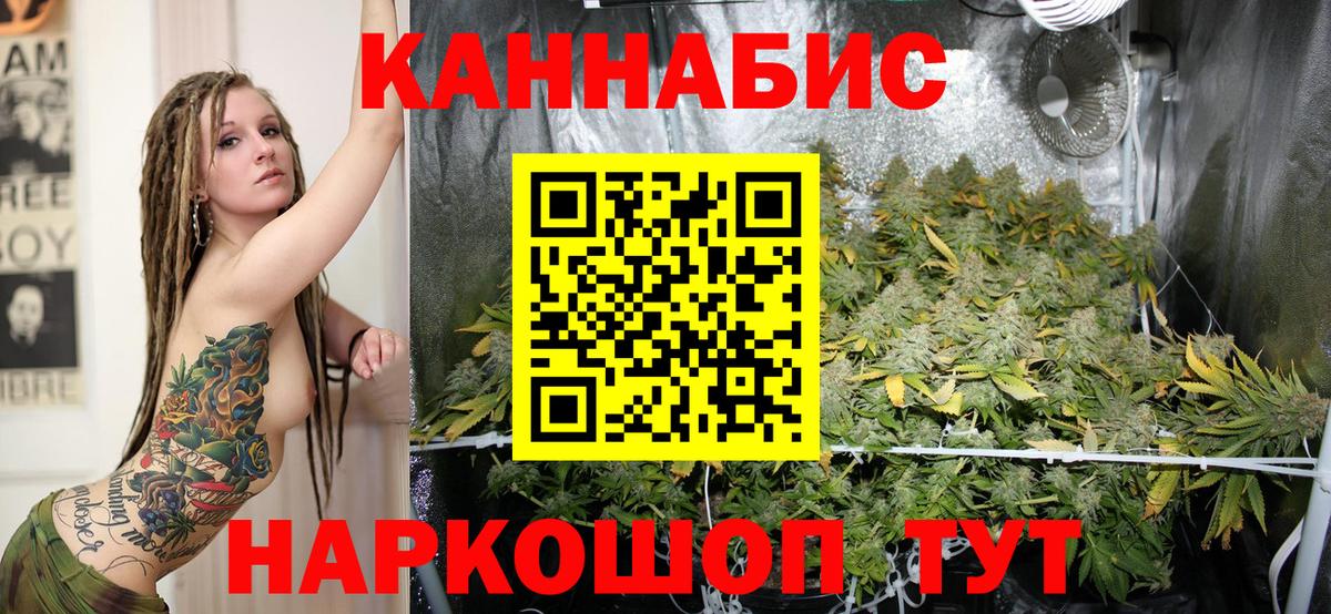 Марихуана план  Вход с VPN  Муром  МАРИХУАНА Ganja 